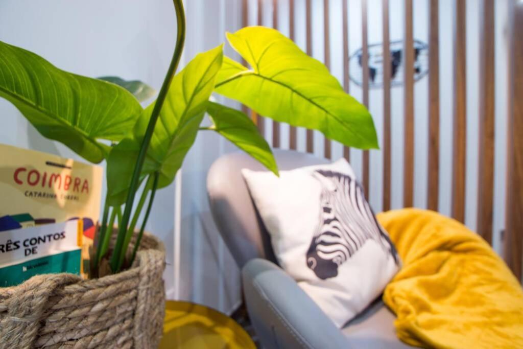 Modern Apartment In Coimbra City Center Buitenkant foto
